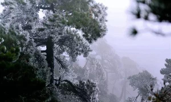 小小棒球赛